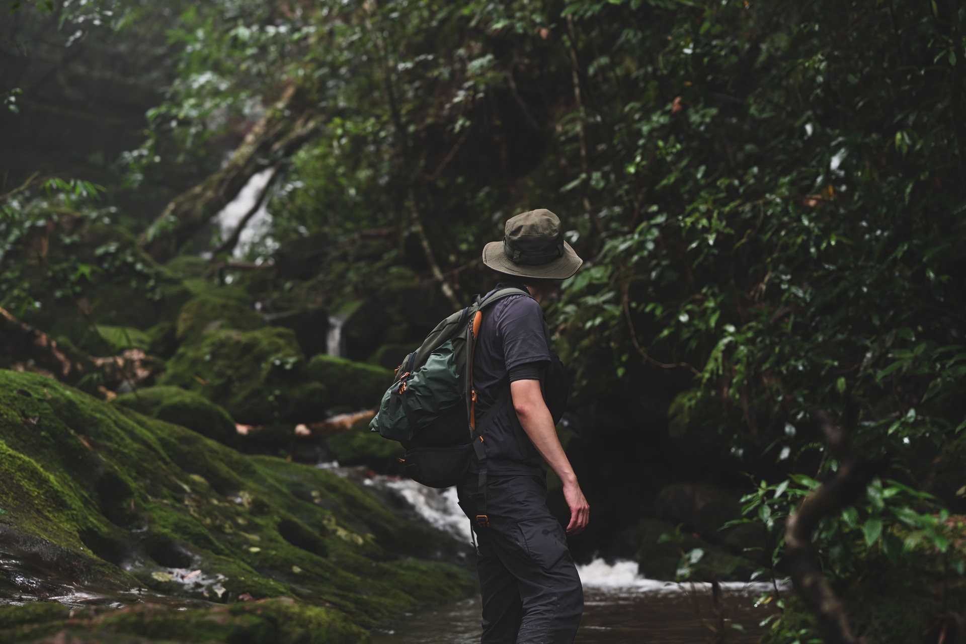 Rear view of Adventure man traveler exploring a waterfall in the forest, Traveling along mountains and rainforest, Solo travel concept